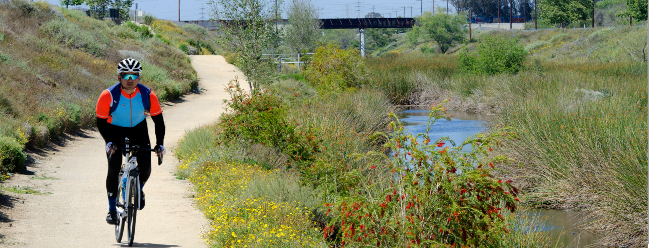 A photo of a person riding a bike down a dirt path next to a creek with vegetation and flowers. 